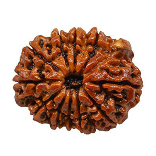Importance And Benefits of Wearing 11 Mukhi Rudraksha