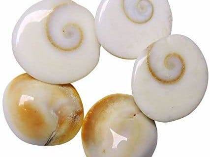 Original 11 Gomti Chakra from Gomti River - Aemorio