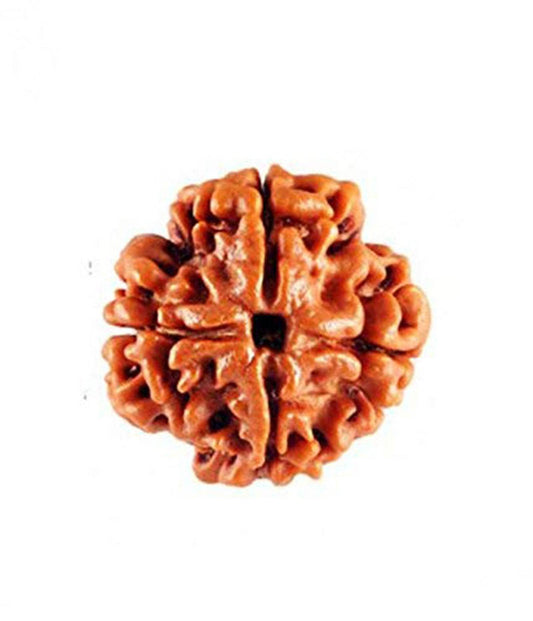 Lab Certified 4 Mukhi Nepal Rudraksha Bead - Aemorio