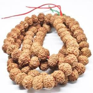 7 Mukhi Rudraksha - Wealth, Prosperity, and Vitality - Aemorio