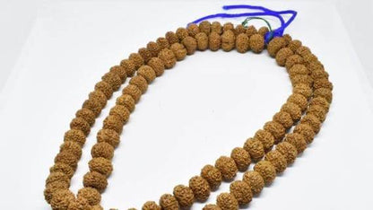 8 Mukhi Natural Rudraksha Mala with Nepal Beads - Aemorio