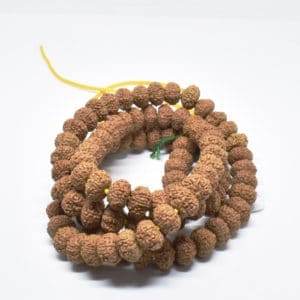 LAB Certified 9 Mukhi Rudraksha for Health, Peace & Prosperity - Aemorio
