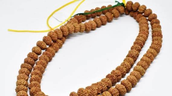 LAB Certified 9 Mukhi Rudraksha for Health, Peace & Prosperity - Aemorio