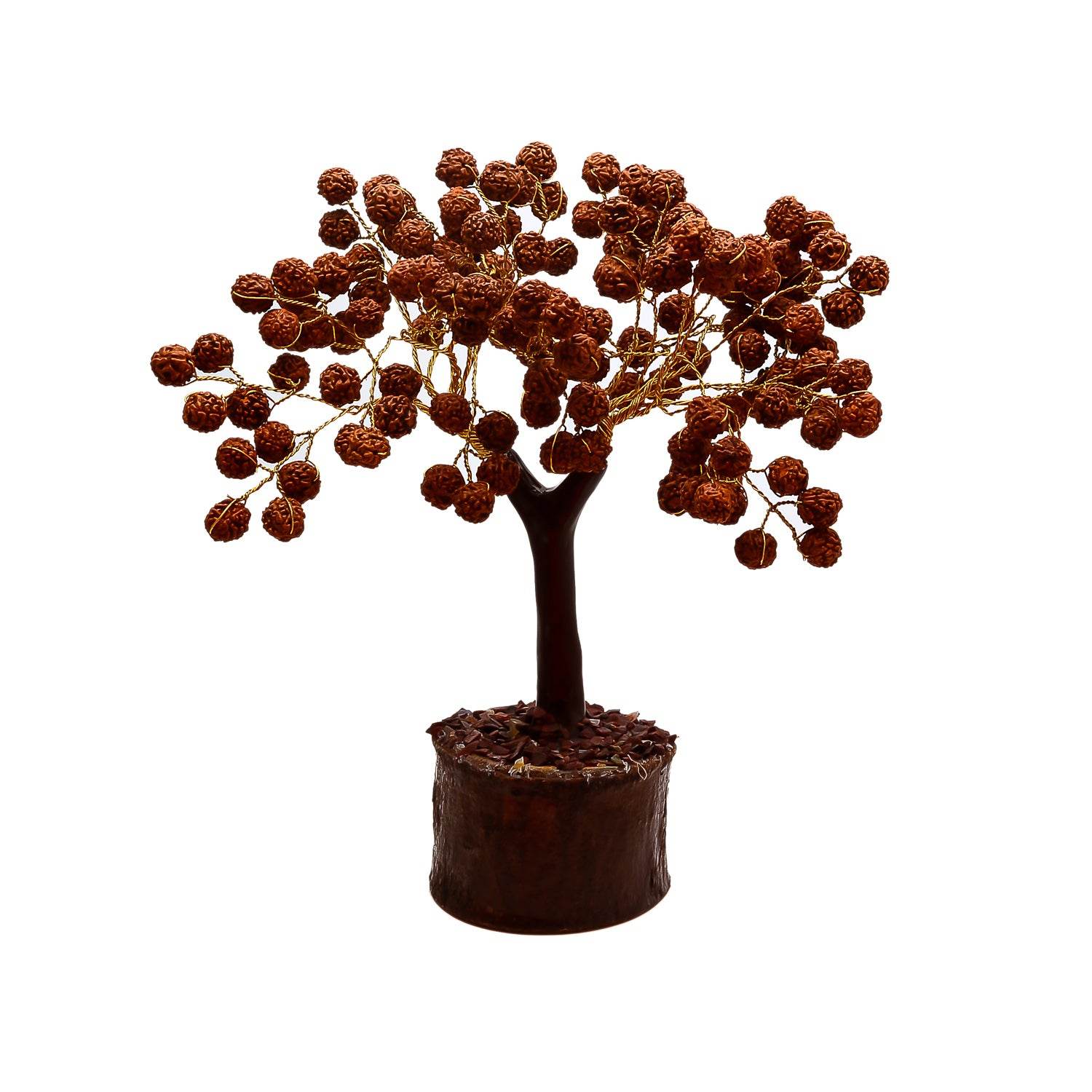 Rudraksha Tree for Health, Luck & Spiritual Benefits - Aemorio