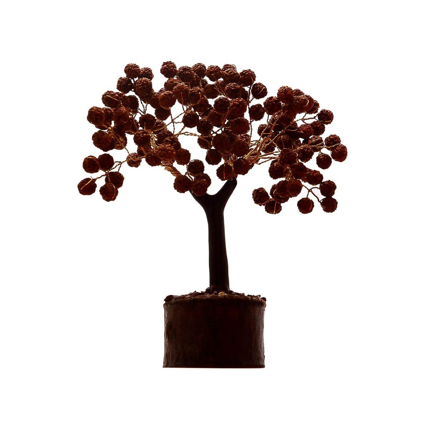 Rudraksha Tree for Health, Luck & Spiritual Benefits - Aemorio