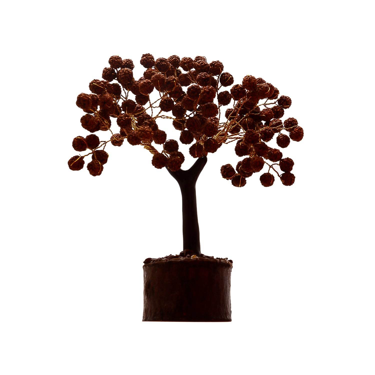 Rudraksha Tree for Health, Luck & Spiritual Benefits - Aemorio