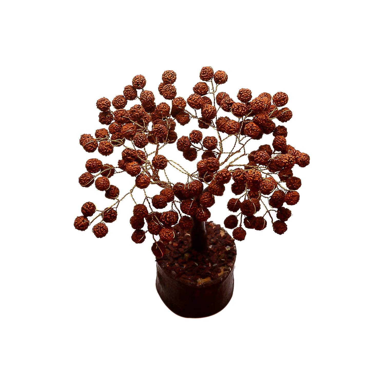 Rudraksha Tree for Health, Luck & Spiritual Benefits - Aemorio