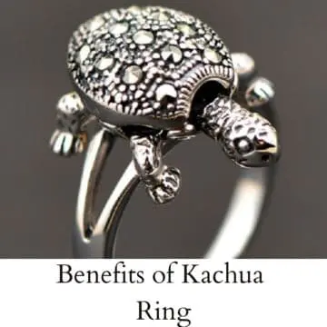 Om Tortoise(Kachua)Sterling Silver Ring | Silveradda