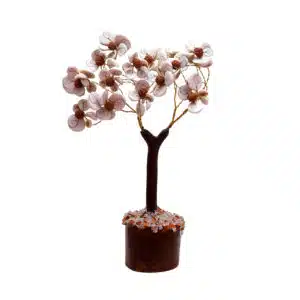 Gomti Chakra Tree with 102 Rudraksha Beads