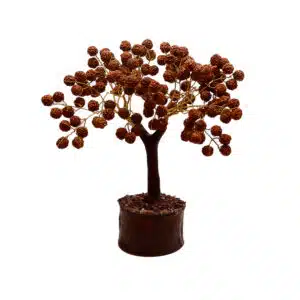 Buy 100% Original Rudraksha Tree Aemorio