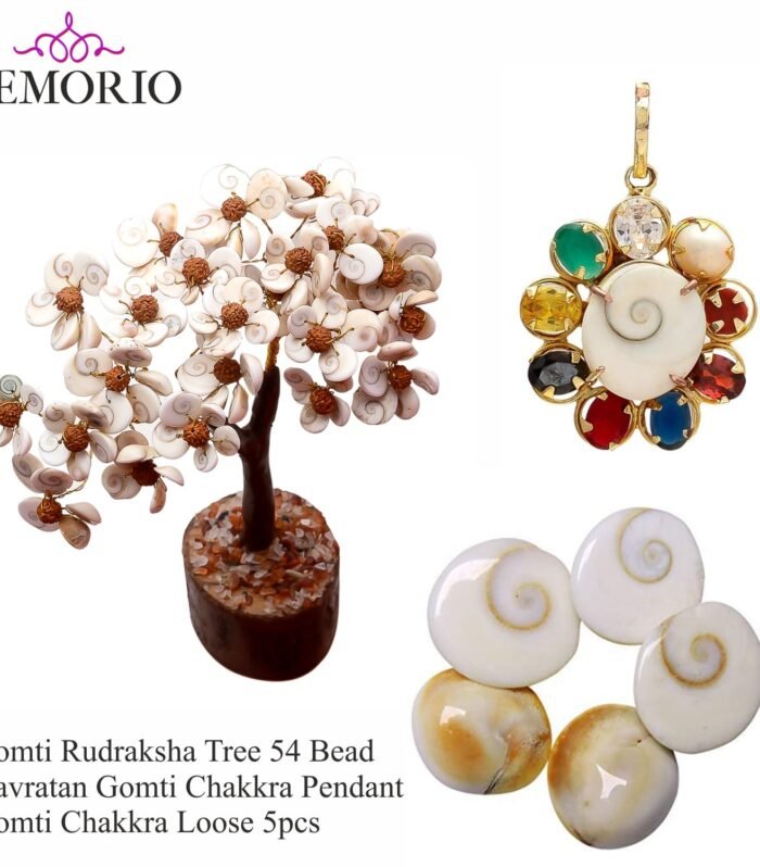 Natural Gomti Rudraksha Tree with Silver Gomti Pendant & Gomti Chakra 5Pcs