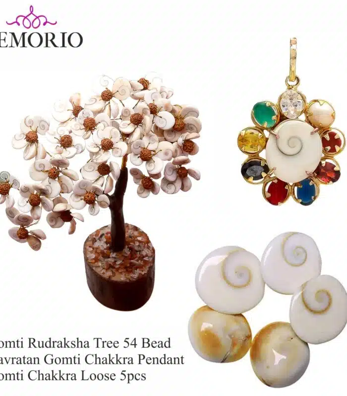 Natural Gomti Rudraksha Tree with Silver Gomti Pendant & Gomti Chakra 5Pcs