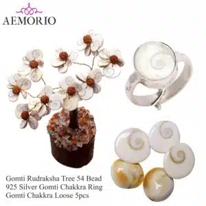 Buy 1 Natural Gomti Rudraksha Tree with Silver Gomti Ring & Get 1 Free Gomti Chakra 5Pcs